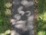image of grave number 764113